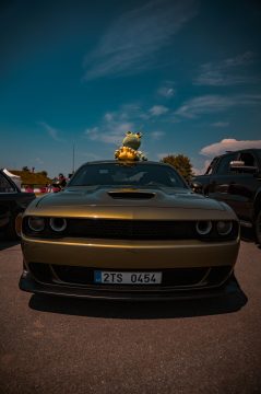 Sportovní fotografie – Kára Day vol. 6 2026, Hradec Králové